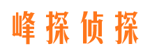 西秀市侦探调查公司